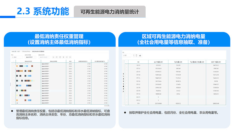 可再生能源电力消纳量监测核算设计开发项目